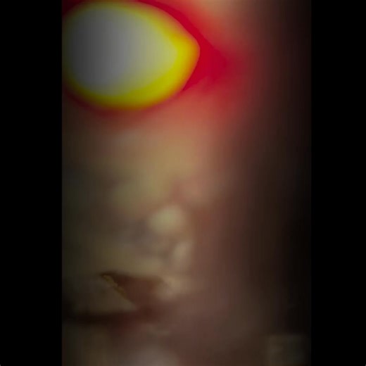 2.4K views | Skulls, spiders, pumpkins and gore — everything you need to deck out your haunt in spine-chilling style. | CostumeBox | Facebook