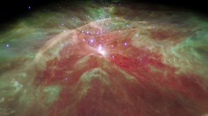 17K views · 819 reactions | A 3D journey through the Orion Nebula!...