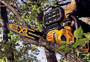 Review : Dewalt 12-inch Chainsaw / Best 12" Cordless Chainsaws in 2024