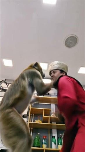 Long Lost Amazon Princess Found Training Kung Fu With a Monkey 🐒
