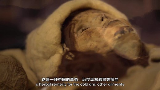 Princess of Xiaohe: Ancient Mummy Found with Ephedra Basket