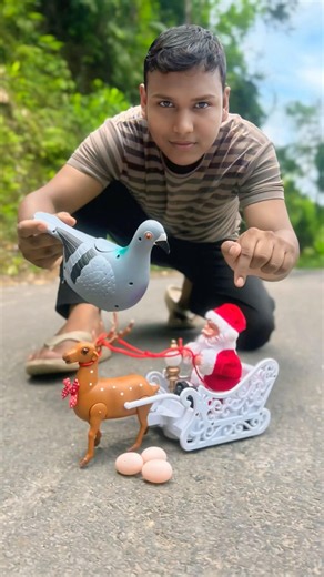 Agg Wla Pigeon Birds And Rc Santa Sleigh and Reindeer Gift 💝