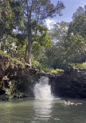 #twin #falls #maui #jungle #hawaii #jump #treejump #fullsend #yessah | jumping