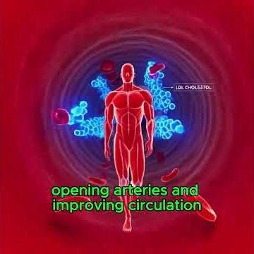 "Hyperlipidemia Explained"