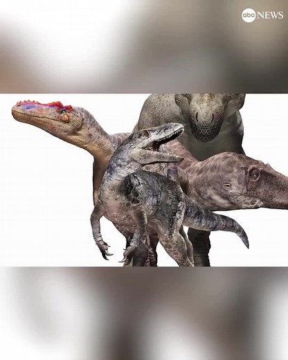 Paleontologists have discovered a new species of dinosaur that was related to the infamous Tyrannosaurus rex. The new species is the