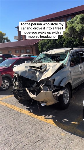 Car Theft in the Suburbs: A Shocking Incident