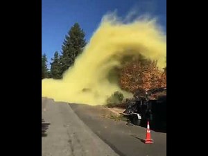 Pine Tree Pollen Explosion! Here it comes Triad!