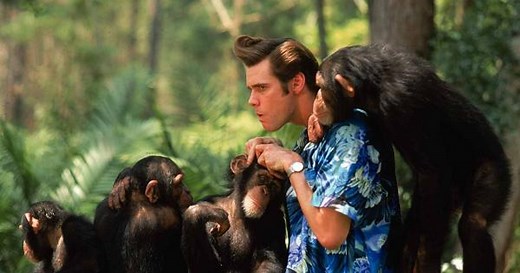 Ace Ventura: Un Loco en África - Tráiler Oficial | Tomatazos