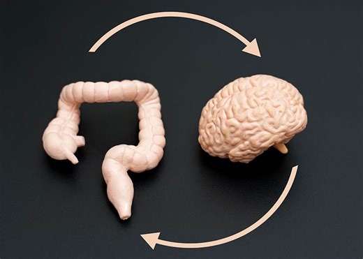 Gut Health's Impact on Mental Well-Being