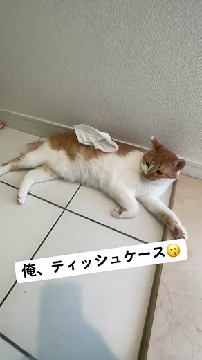 ゴジラ型ティッシュBOX - レビューとヒカキンボイス付き