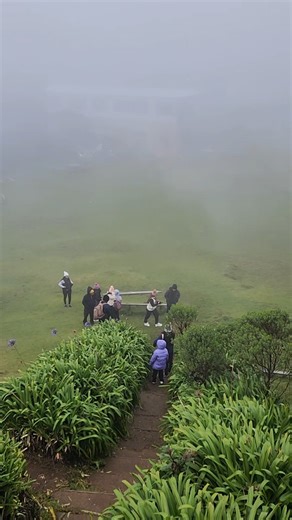 ❄️ Este frío no es para todos… es para los que saben disfrutarlo.🚐❄️ 🌟 Viaje del día | $33.00 por persona 📌 Incluye ✅ Transporte San Salvador ↔ Lecho de Flores ✅ Desayuno de la casa 🍳 ✅ Tour al Pital en Pick Up 4x4 🛻 ✅ Guía turístico ✅ Caminata a la Peña Rajada y Mojón Internacional ✅ Almuerzo (3 opciones a elegir) 🍴 ✅ Visita al Río Chiquito ✅ Refrigerio de la tarde: ☕ Café artesanal de la montaña ½ quesadilla artesanal 🗓️ Fechas con cupo disponible: Febrero: 14, 15, 22, 28 Marzo 1, 8, 15