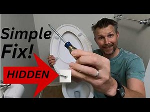 How to Tighten Loose Toilet Seat with Hidden Bolts! (CONCEALED TRAP-WAY aka SKIRTED)