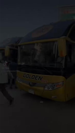 Golden bus on Reels | Facebook