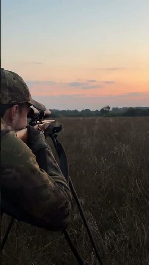 Red stag hunting Poland - 8 kg 18 tines