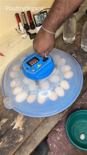 how to use 🥚 Egg Incubator ?