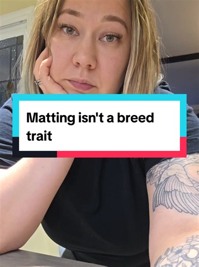 Essential Cockapoo Grooming Tips