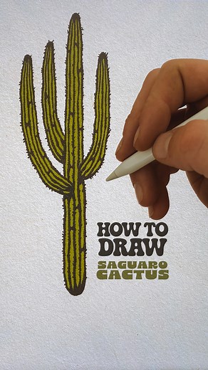 Sam Larson on Instagram: "HOW TO DRAW - SAGUARO CACTUS. There are so many ways to draw a cactus. You can add as much or as little detail as you want. Hopefully this is video is helpful. If there is anything else you’d like to see a How to Draw of, let me know in the comments. Thanks for watching!"