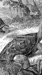 8.5K views · 54 reactions | Four Western Santa Cruz Galapagos...