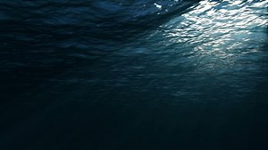 Underwater View Dark Blue Ocean Surface Stock Footage Video (100% Royalty-free) 1008343405 | Shutterstock