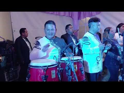 Bajo (graves) en vivo: dbx PA2 (EQ + Compresor/Limitador) con Magia Musical