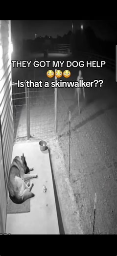 Skinwalker Caught on Camera: Creepy Footage Revealed