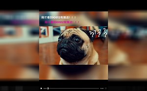 IPAD升级IOS12初体验视频