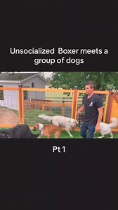 Unlock the secret to a calm and obedient pup with the Dog Calming Code. 🐾✨ Link in BIo @wedogtrainer . Visit this link : https://bit.ly/we-dog-trainer . . . . . DM for credit or removal request (no copyright intended) ©️ All rights and credits reserved to the respective owners . #dogtraining #hundesport #dogsport #hundetraining #workingmalinois #unterordnung #obedience #unterordnungstraining #obediencedog #dogobedience #dogsports #doghandler #doghandling #igpdog #DogTraining #ReactiveDog #DogBe