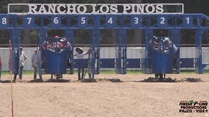 17K views · 143 reactions |  “RANCHO LOS PINOS”  (6-23-24) 磊 “LA NUEVA TALEGA” LA COBRA  磊 EN COMPROMISO DE LLEGUAS   LE GANA A…  賂 LA PRIETA LINDA CUADRA PISCES ♓️ 賂 (250 Yds) (Música sin derechos de Autor) | Finish Line Productions | Facebook