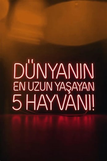 Dünyanın En Uzun Yaşayan 5 Hayvanı! #Shorts #Hayvanlar #Doğa #Keşfet #Viral