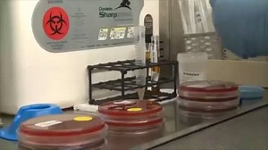 11K views · 291 shares | Go inside a clinical microbiology lab at Penn State Milton S. Hershey Medical Center and learn about careers in clinical microbiology. Credit: American Society for Microbiology https://www.youtube.com/watch?list=PL1DFmJFZvefgEqlijKHXnMcWBim1-qErX&v=8OJNXCgIzSM | All Things Microbial | Facebook