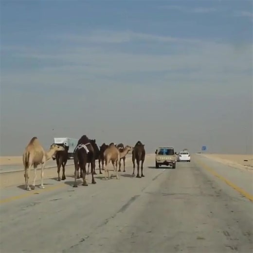 ‏#مجرد_ذوق #fyp