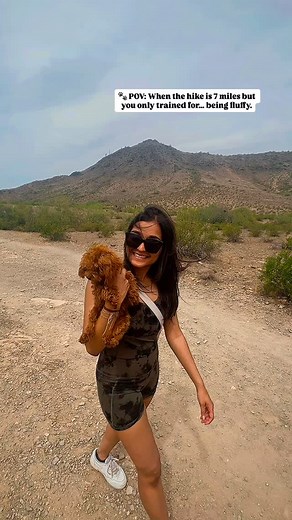 34 reactions · 3 comments | throwback to when i lived in AZ ⛰️ ・ ・ ・ ・ ・ #teddydog #cuddlydog #curlydog #smalldog #smalldogbreeds #minipoodle #toypoodle #poodles #poodlepuppy #poodlesofinstagram #poodlegram #poodlelife #poodletoy #poodleoftheday #poodlelovers #redpoodlesofinstagram #apricotpoodle #cuddlebuddy #dogsofinstagram #cutedogsofinstagram #dogsofbark #louisvuitton #chewyvuitton #cutetoy #ugc #dogugc #explorepage #explore | Coco, The Toy Poodle | Facebook