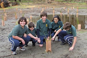 Biota Nodes Project - The Tindall Foundation