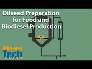 Oilseed Preparation for Food and Biodiesel Production