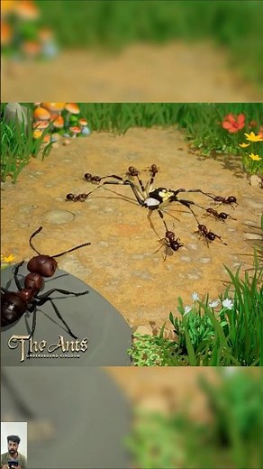 Ants Kingdom: What for Lunch? #viralshort #ants