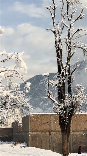 Good Morning Kalam: Travel Tips with Khan