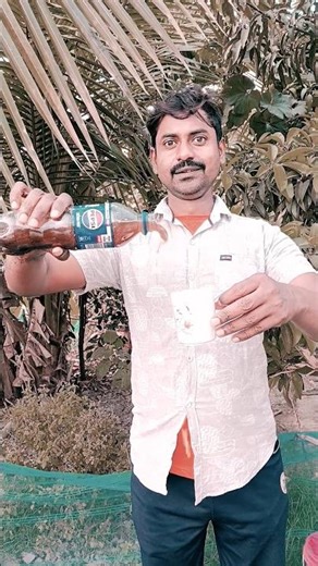 Boy Says “Oh My Cockroach!” Then Pours Water 😂