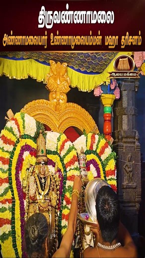 🔴 அண்ணாமலையார் அமாவாசையன்று காணக்கிடைக்காத அற்புத தரிசனம் | Tiruvannamalai Arunachaleswarar Temple