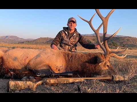 Elk hunting New Mexico! 2020 Milligan Brand Outfitter