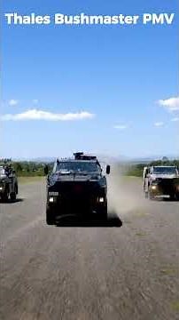 Why the Bushmaster PMV Is One of the Toughest Infantry Vehicles in the World