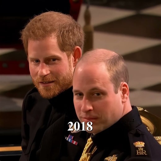 Royal Brother Duo In 1986 VS 2018 Is So Great & Majestic #princeharry #princewilliam #history