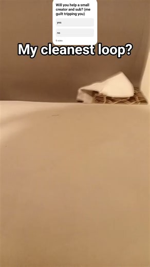 worlds cleanest loop? #lazyloops #caketraining #viral #birdtrend