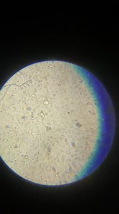 File:Class 12 Practicals Video 20210923 103243.webm - Wikimedia Commons