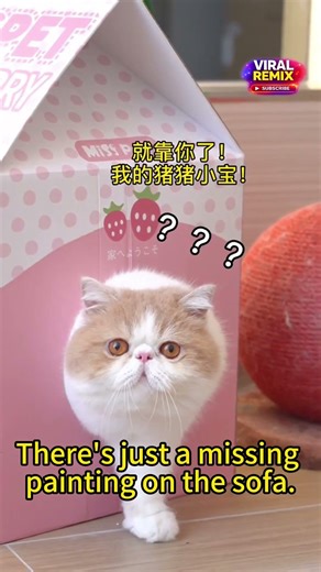 My Cat Can Actually Paint for Me! And It’s Making Abstract Art! 太驚訝了！我的貓貓竟然會畫抽象畫，成了小小藝術家！