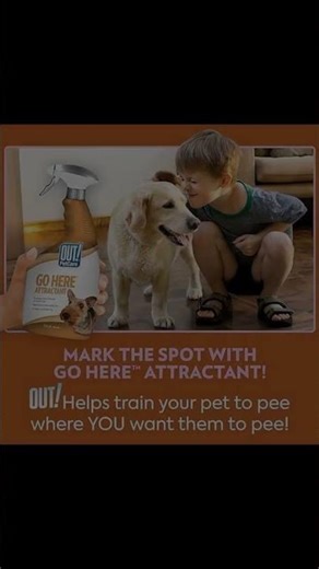 Potty Training Made Easy with OUT! PetCare Spray