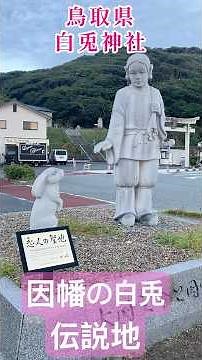 The legendary site of the myth "The White Rabbit of Inaba" - "Shirato Shrine" 🐇 From the torii ga...