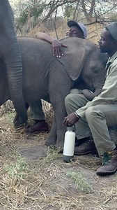 3.2M views · 165K reactions | Joy just can't get enough of Mike, one...