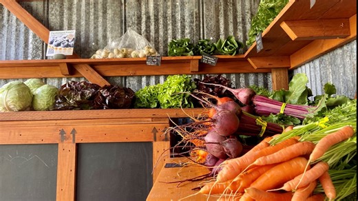 Shop a Skagit Valley farm stand and get expert cooking advice for free