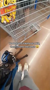 PTSD SD's are not just for veterans #servicedogtraining #servicedogs