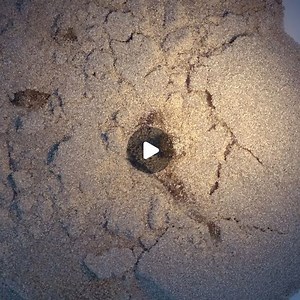 Tyson Ibele on Instagram: "After months of research and development, tyFlow's granular solver is nearly complete. It's fast, supports OpenCL GPU acceleration, and can easily handle a huge number of particles. Here you can see the result of 8 million particles simulated to interact and collide with an animated character, resulting in the formation of all sorts of interesting structures, fracture patterns, piles and spills. This new solver is fully integrated into tyFlow's global constraint solver